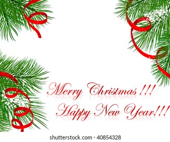 branches of christmas tree with ribbons