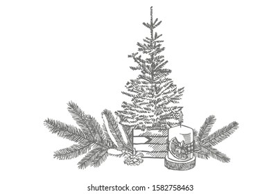 Branches of Christmas trees and Candle. New year and Christmas design elements. Greeting card invitation with xmas graphic. Vintage illustration.