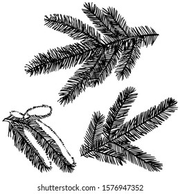 Branches of Christmas trees. New year and Christmas design elements. Greeting card invitation with xmas graphic. Vintage illustration.