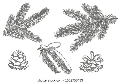 Branches of Christmas trees. New year and Christmas design elements. Greeting card invitation with xmas graphic. Vintage illustration.