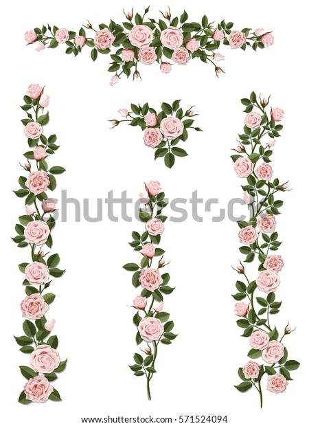 Branches climbing pink rose flower with leaves and\
buds. Elements can be used as a Art Brush to create of any curled\
form. To decorate the balcony facades, fence, wall and gift or\
wedding card.