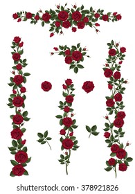 Branches climbing red rose flower with leaves and buds. Elements can be used as a Art Brush (scale proportionately) to create of any curled form. To decorate the balcony facades, fence, wall, card.