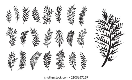 Branches collection hand drawn, vector.