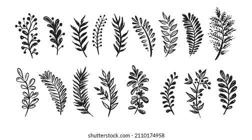 Branches collection hand drawn, vector.