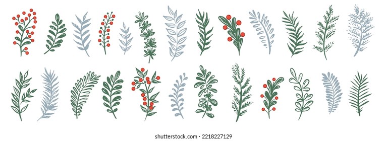 Branches collection hand drawn, vector.