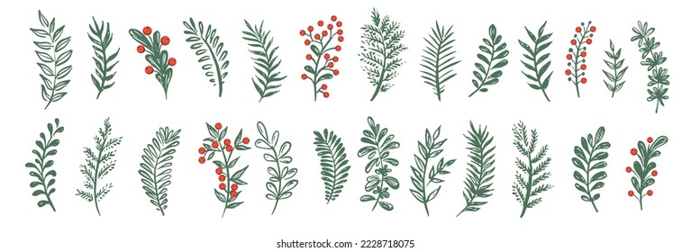 Branches collection hand drawn, vector.	
