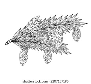 Branches and cones of pine, spruce, Christmas tree. Engraving in a minimalist style. Contour hand drawing. Can be used for decoration, printing on paper and fabric, as well as in the interior. Vector