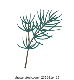 Branches of coniferous spruce, pine, arborvitae. Elements of Christmas and New Year decors. Vector graphics.	