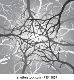 branches dark forest view of the sky