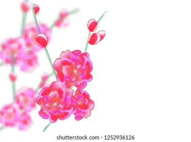 Branches with delicate pink flowers and buds. Sakura points. isolated on white background. Vector Illustration