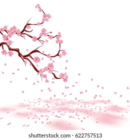 Branches of a faded pink cherry. Sakura. The petals crumble and lie on the ground with pink spots. Isolated on white background. Vector illustration