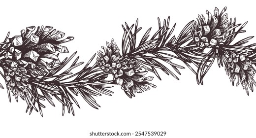 Branches of fir, spruce, pine with cones. Graphic illustration, hand drawn with brown ink, line art monochrome. Seamless border, pattern, garland on the theme of forest, harvest, nature, Christmas.