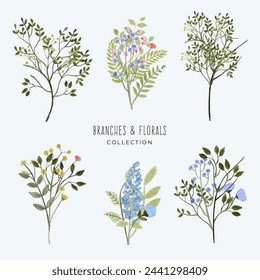 branches and florals watercolor collection