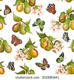 Branches with flowers and pears.Branches with pears, flowers and butterflies on a white background in a vector pattern.