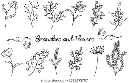 Branches and Flowers Set, Hand Drawn Floral Set, Outline, Doodle Botanical, Decorative Elements, Vector