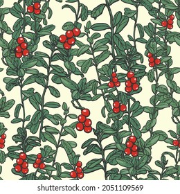 Branches of forest lingonberry with  leaves and berries. Hand-drawn in ink. Seamless autumn background.