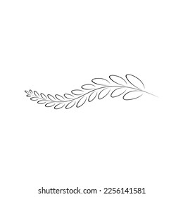 branches full of leaves hand drawn various patterns Suitable for decorating wedding cards, parties, parties, banners, logos.