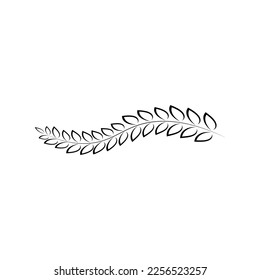branches full of leaves hand drawn various patterns Suitable for decorating wedding cards, parties, parties, banners, logos.