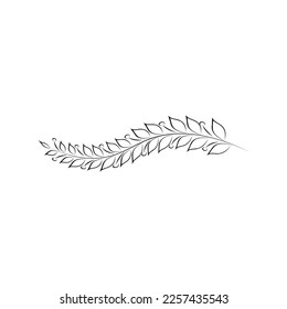 branches full of leaves hand drawn various patterns Suitable for decorating wedding cards, parties, parties, banners, logos.