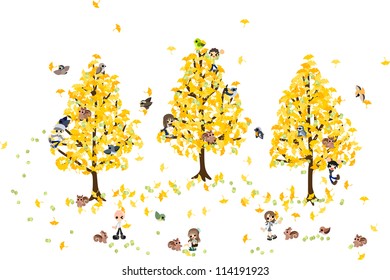  The branches of ginkgo trees bent low with many nut. Let's pick up them and use in a variety dishes.