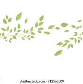 Branches and green leaves