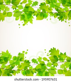 Branches with green leaves in the background