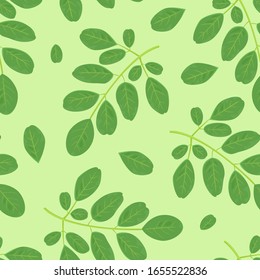 Ramas con hojas verdes sin fisuras. Fondo botánico, floral. Ilustración vectorial de hoja de moringa en estilo plano de caricatura.