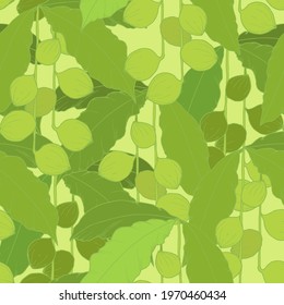Branches of green walnut with leaves on a light green background. Seamless pattern.