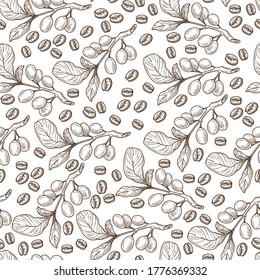 Ramas de cultivo de granos de café sin soldadura. Semillas para bebidas aromáticas y platos. Ingredientes orgánicos para bebidas y postres. Impresión de menú, contorno de esbozo monocromo, vector de estilo plano
