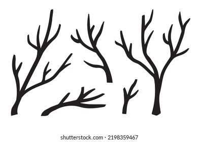 Branches hand drawn set. Branch Ink illustration. Design element. Vector illustration