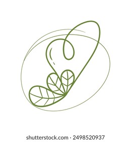 Branches with heart shape flowers. Hand drawn hearts with stems and leaves. Vector illustration for Valentine's day. Simple plants elements.