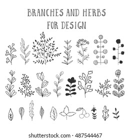 Branches Herbs Leaves Ink Illustration Stock Vector (Royalty Free ...