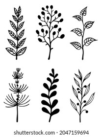 Branches and herbs vector set. Hand-drawn doodles isolated on white. Twigs with leaves and berries. Field grass sketch. Botanical elements for decoration and design of cards, textiles, packaging.
