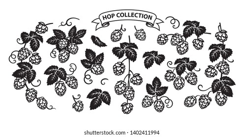 Branches of hops. Set of elements for brewery design. Hop cones with leaves icons. Ribbon banner with text. Hand drawn vector illustration isolated on white background. 