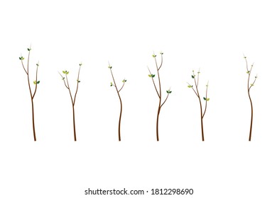 Branches icon set flat style