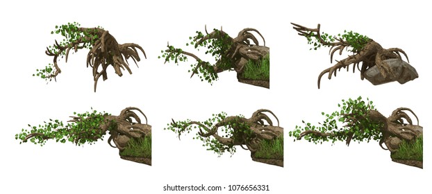 branches isolated vector