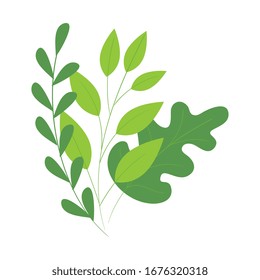 branches with leafs natural isolated icon vector illustration design