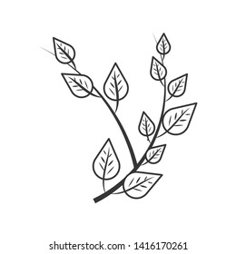 branches with leafs naturals vector ilustration