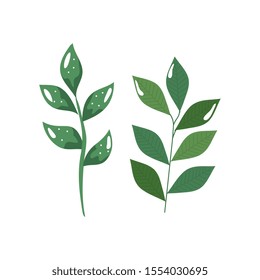 branches with leafs nature ecology isolated icon vector illustration design