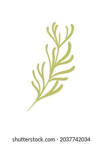 branches and leafs nature icon