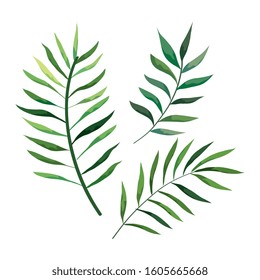 branches with leafs nature isolated icon vector illustration design