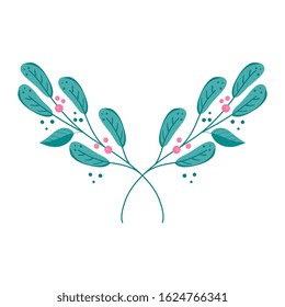 branches with leafs nature and seeds vector illustration design