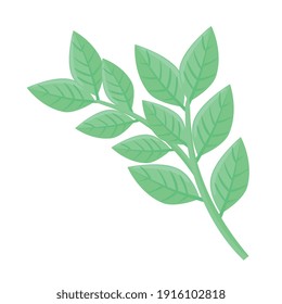 branches with leafs plant spring season vector illustration design