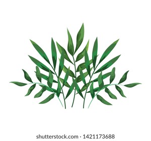 branches with leafs plants decorative icon