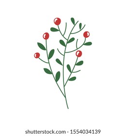 branches with leafs and seeds isolated icon vector illustration design