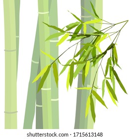 
Branches and leaves of bamboo. Vector stock graphic