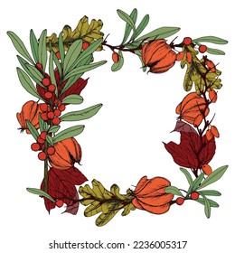 En un marco cuadrado se colectan ramas con hojas y bayas, cajas de fisalis y bayas de invierno. Vector. La corona de invierno-otoño.