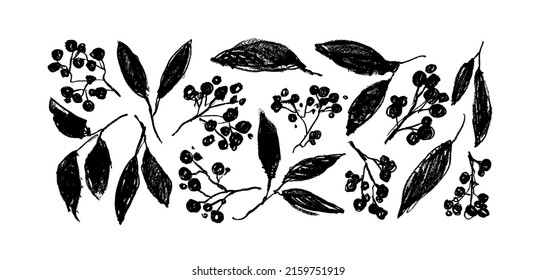 Branches with leaves and berries vector collection. Hand drawn black paint plant elements. Charcoal pr pencil drawing. Rough twig, black leaves with rough edges. Silhouette of herbs isolated on white 