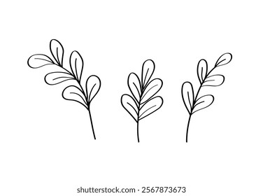 Branches with leaves in Doodle style. Twigs drawn by hand on a white background. Vector illustration.