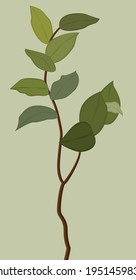 Ramas con hojas de estilo plano. Ilustración vectorial con elementos de minimalismo. Pintura en colores claros. Diseño para tarjetas, carteles, fondos, plantillas, menús, textiles.